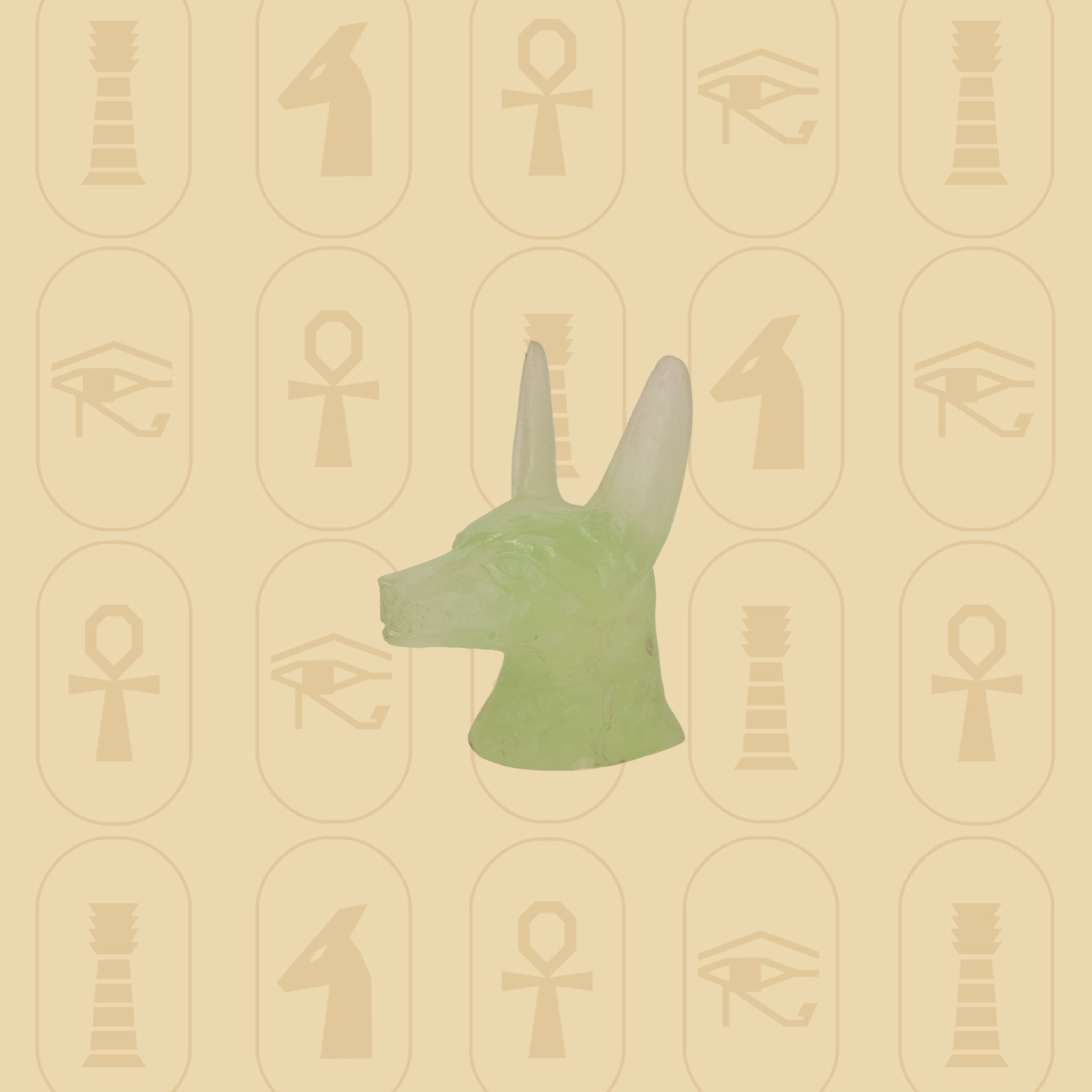 Anubis Jackal Head